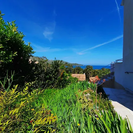 Sirio * Saint-Florent (Corsica)